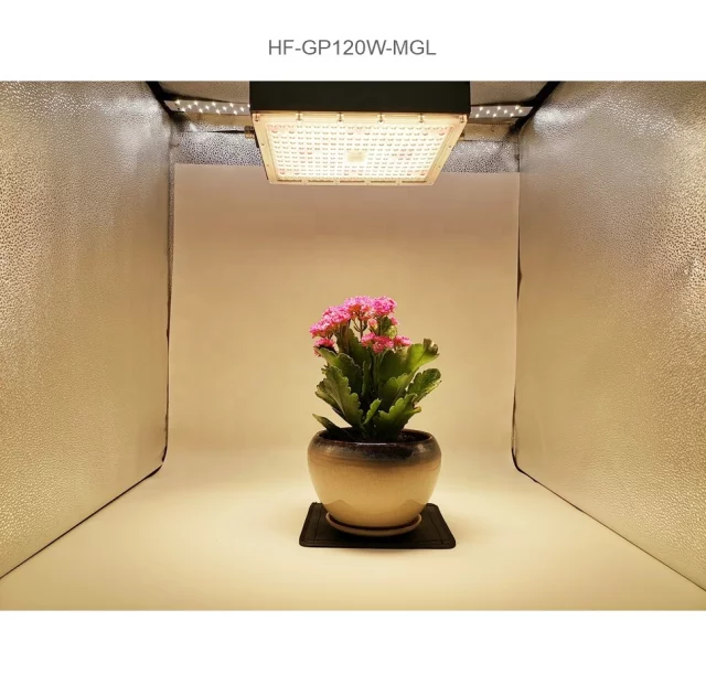 đèn-pha-led-quảng-trường