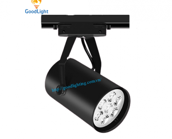 RỌI RAY MẮT ẾCH R01