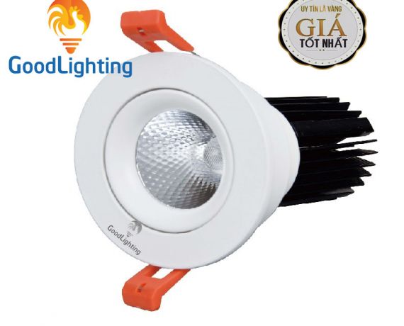 DOWLIGHT CHIẾU ĐIỂM