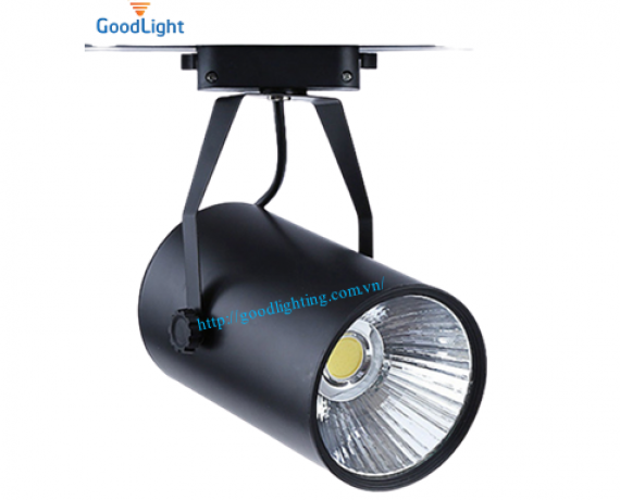 RỌI RAY COB R02