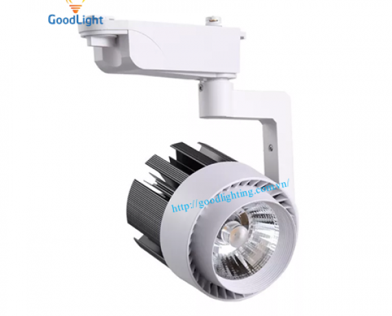 RỌI RAY COB R06